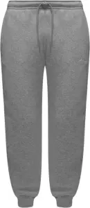 Спортивные штаны Nike JORDAN BROOKLYN FLEECE светло-серые FV7277-050