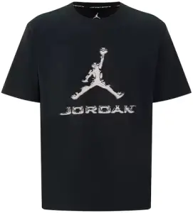 Футболка Nike JORDAN SPORT DRI-FIT черная HQ9091-010