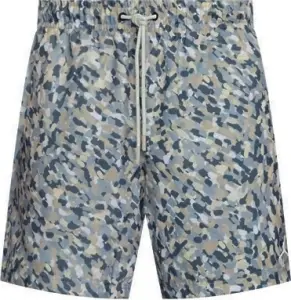 Шорты Nike JORDAN ESSENTIALS POOLSIDE разноцветные FN4635-133