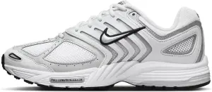 Кросівки Nike AIR PEGASUS 2005 біло-срібні HQ3031-003