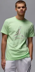 Футболка Nike JORDAN SPORT DRI-FIT світло-зелена HQ7984-376