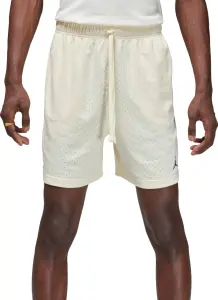 Шорти баскетбольні Nike JORDAN SPORT MEN'S DRI-FIT MESH SHORTS кремові FN5816-113