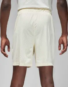 Шорти баскетбольні Nike JORDAN SPORT MEN'S DRI-FIT MESH SHORTS кремові FN5816-113