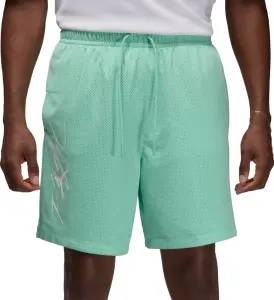 Шорти Nike JORDAN ESSENTIALS бірюзові FN4647-349