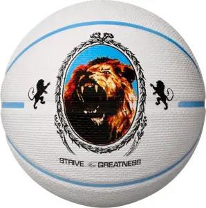 Баскетбольний м'яч Nike PLAYGROUND 2.0 8P L JAMES DEFLATED біло-блакитний Розмір 7 N.100.4372.086.07