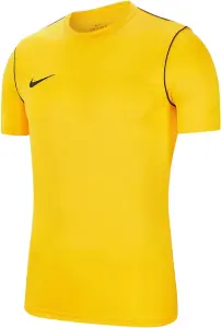Футболка підліткова Nike DRY PARK20 SS TOP жовта BV6905-719