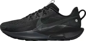 Кроссовки для трейлраннинга Nike REACTX PEGASUS TRAIL 5 черные DV3864-002