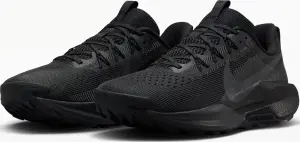 Кроссовки для трейлраннинга Nike REACTX PEGASUS TRAIL 5 черные DV3864-002