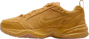 Кросівки для тренувань Nike AIR MONARCH SE світло-коричневі IB2281-700