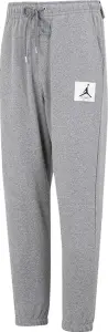 Спортивные штаны Nike JORDAN FLIGHT FLEECE светло-серые FV7251-050