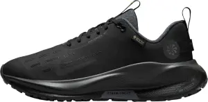Кросівки бігові жіночі Nike INFINITYRN 4 GORE-TEX WATERPROOF чорні HQ0264-001