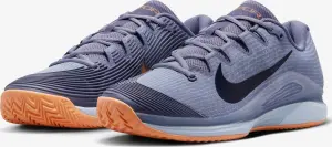 Кросівки тенісні Nike ZOOM VAPOR 12 CLAY сірі HQ6026-400