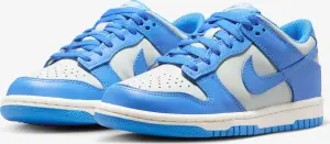 Кроссовки подростковые Nike DUNK LOW (GS) голубо-светло-серые FB9109-004