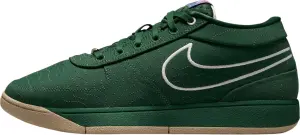 Кросівки баскетбольні Nike BOOK 1 темно-зелені FJ4249-300