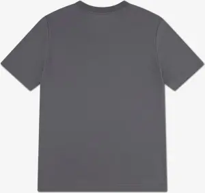 Футболка підліткова Nike PRACTICE TEE PSG сіра 95F539-783
