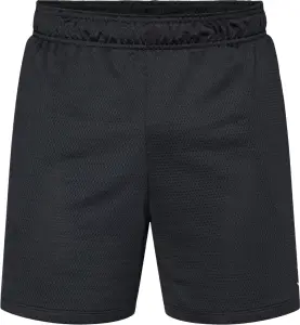 Шорты Nike JORDAN SPORT ESSENTIALS DRI-FIT черные IF0891-010