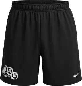 Шорты Nike FLEX DRI-FIT 18CM TRAINING черные IF2789-010