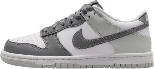 Кроссовки подростковые Nike DUNK LOW (GS) серо-белые IQ0804-102