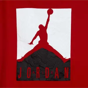 Комплект літній дитячий Nike JORDAN червоно-темно-сірий 65A600-023