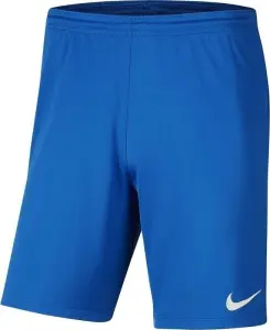 Шорти підліткові Nike DRI-FIT PARK 3 сині BV6865-463