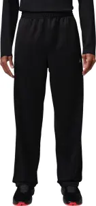 Спортивні штани Nike JORDAN JUMPMAN чорно-білі IQ5781-011