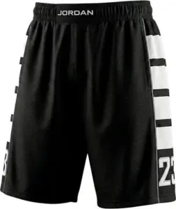 Шорти Nike JORDAN BROOKLYN CAT SCRATCH чорно-білі HV0560-013