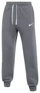 Спортивні штани Nike PARK 26 FLEECE сірі IB1248-071