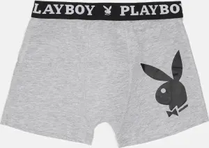Труси (боксерки) Playboy ANNYA PLAYBOY BOXERSHORT сірі ANNYA-0203