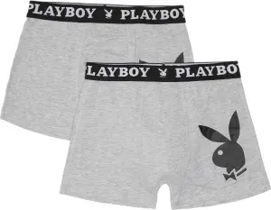 Труси (боксерки) Playboy ANNYA сірі (2 штуки) ANNYA-29