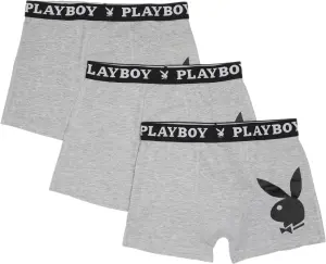 Труси (боксерки) Playboy ANNYA сірі (3 штуки) ANNYA-36