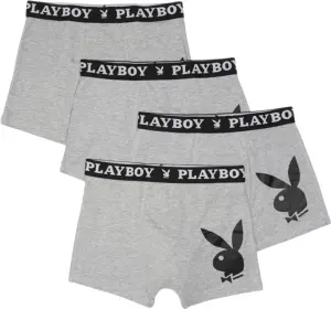 Труси (боксерки) Playboy ANNYA сірі (4 штуки) ANNYA-44