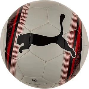 Мяч футбольный Puma Big Cat 3 Ball бело-черный 8304401 Размер 4