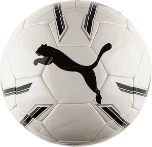 Мяч футбольный Puma Pro Training 2 MS ball белый 8281901 Размер 5