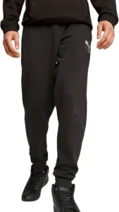 Спортивные штаны Puma BETTER SPORTSWEAR SWEATPANTS черные 67606501