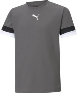 Футболка дитяча Puma TEAMRISE JERSEY JR сіра 704938-13