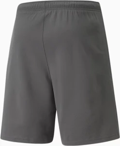 Шорти Puma TEAMRISE SHORT сірі 704942-13