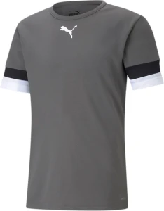 Футболка Puma TEAMRISE JERSEY сіра 704932-13