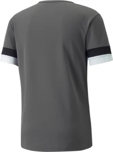 Футболка Puma TEAMRISE JERSEY сіра 704932-13