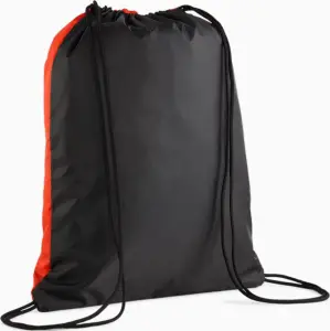 Сумка-мішок Puma TEAMGOAL GYM SACK 16L червоно-чорна 090240-03