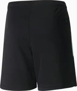 Шорти дитячі Puma TEAMLIGA SHORTS JR чорні 704931-03