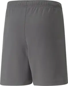 Шорти дитячі Puma TEAMRISE SHORT JR сірі 704943-13