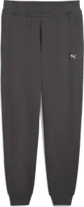 Спортивні штани Puma ESSENTIALS ELEVATED темно-сірі 68827744