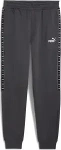 Спортивні штани Puma ESSENTIALS TAPE темно-сірі 68467944