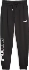 Спортивные штаны Puma POWER черные 675915-01