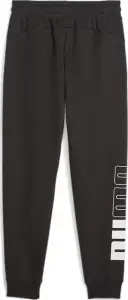 Спортивные штаны Puma POWER черные 675915-01