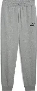 Спортивні штани Puma ESSENTIALS NO. 1 LOGO сірі 68260803