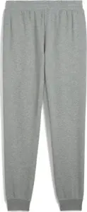 Спортивні штани Puma ESSENTIALS NO. 1 LOGO сірі 68260803