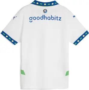 Футболка підліткова Puma PSV REPLICA (ПСВ) резервна біло-синьо-зелена 775166-03
