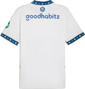 Футболка Puma PSV REPLICA (ПСВ) резервна біло-синьо-зелена 775164-03