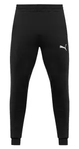 Спортивні штани Puma TEAMGOAL CASUALS чорні 658598-03